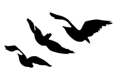 Screenshot 2019-10-09 at 17.51.16.png